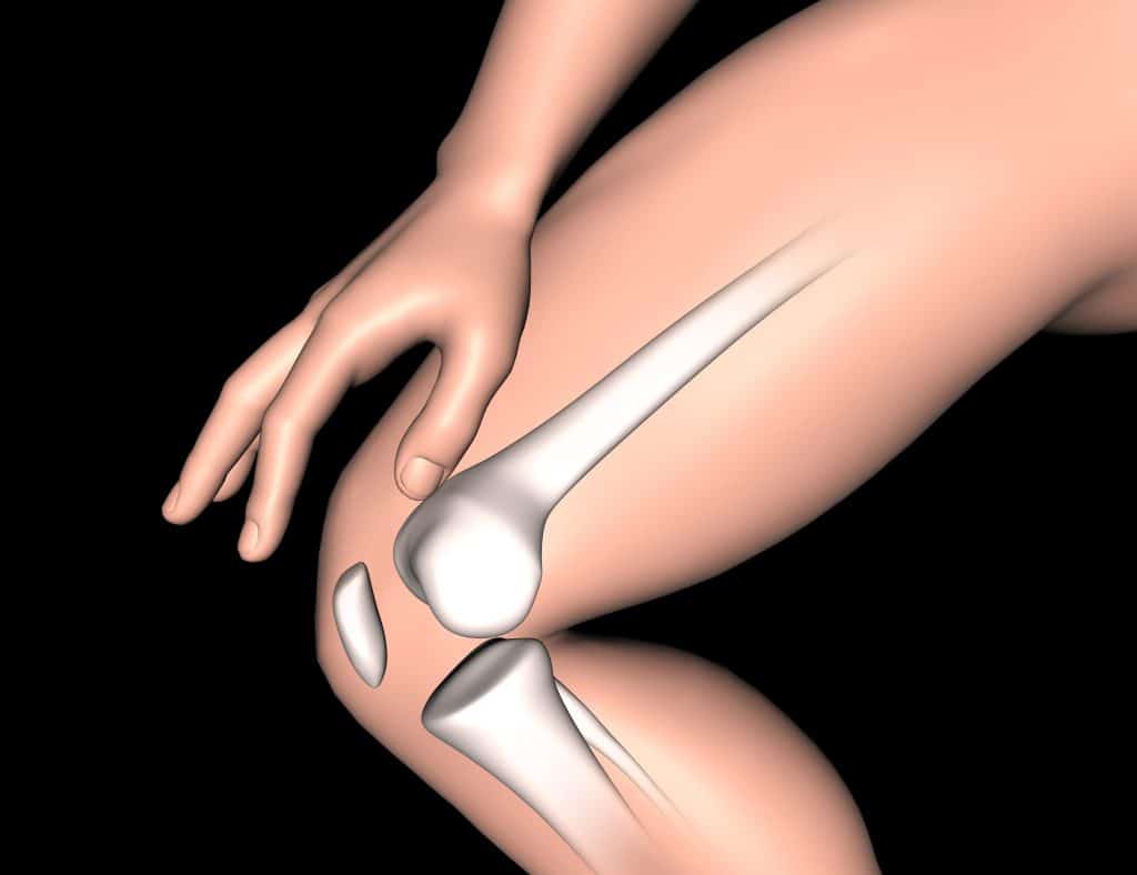 3D medical illustration of leg bone with knee highlighted