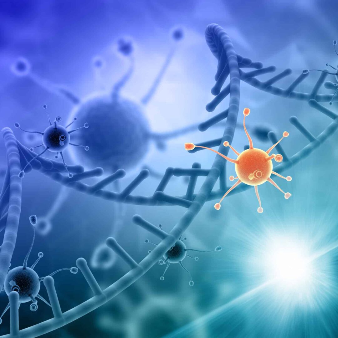 Stem Cell Therapy in South Korea – Cost with Clinics