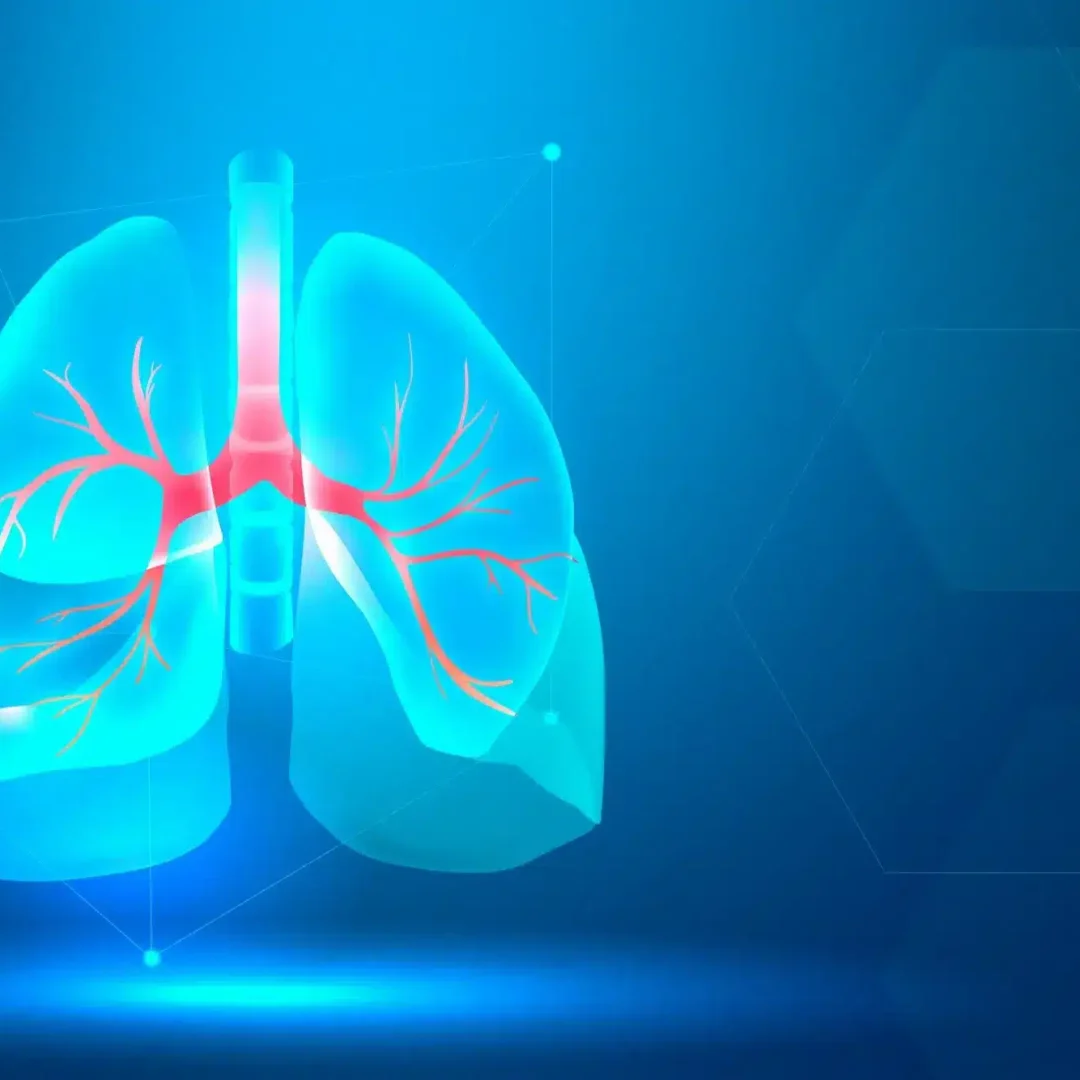 Best Countries for Lungs Transplant in the World