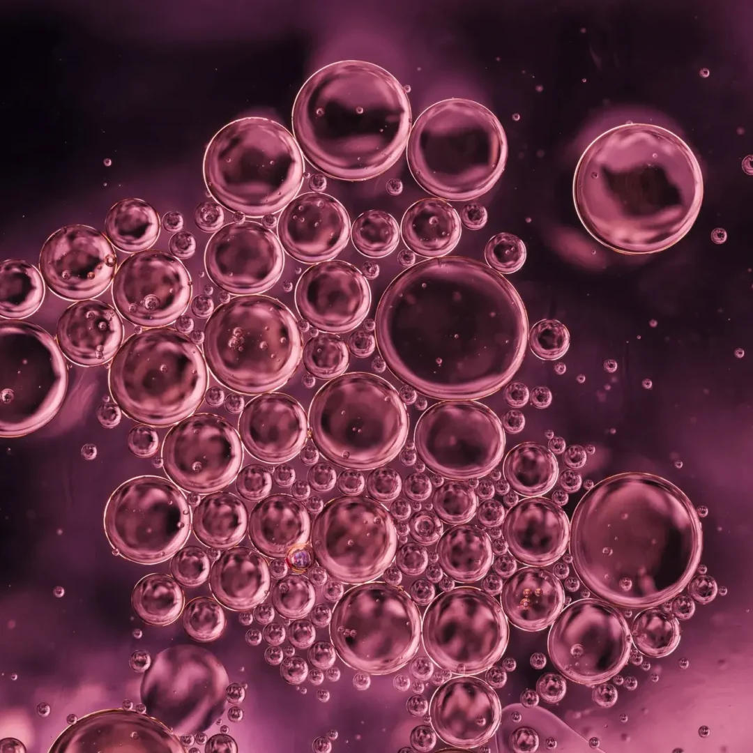 Best Stem Cell Therapy in Mexico – Cost with Clinics