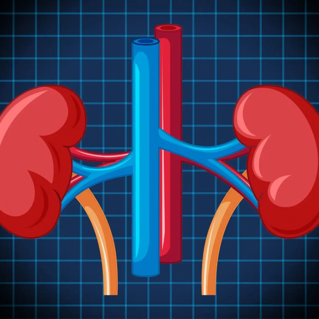 Best Countries for Kidney Transplant in the World