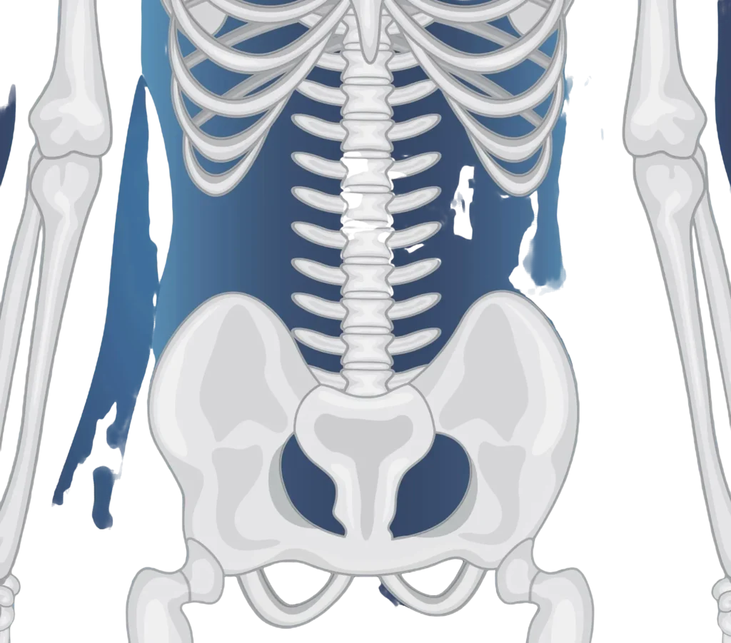 In Spain, the cost of hip replacement surgery