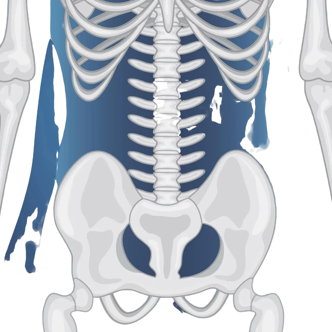 Cost of Hip Replacement Surgery in Spain