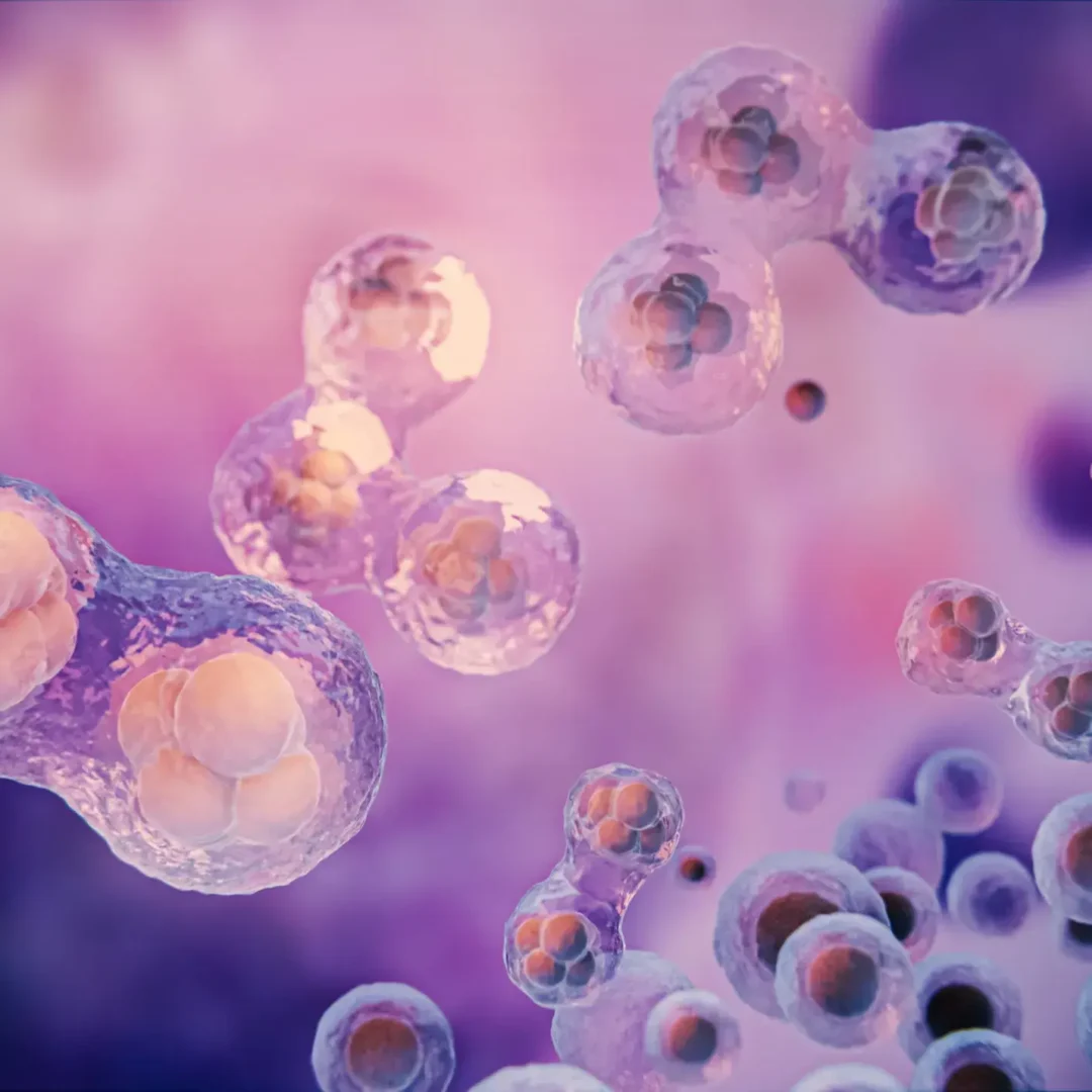 Stem Cell Therapy in Malaysia Price and Best Clinics