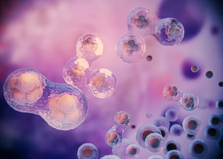 Stem Cell Therapy in Malaysia Price and Best Clinics